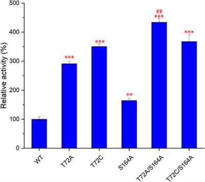 Identification of Two Novel Fluorinases From Amycolatopsis sp. CA-128772 and Methanosaeta sp. PtaU1.Bin055 and a Mutant With Improved Catalytic Efficiency With Native Substrate